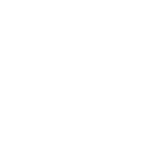 Untitled design (31)