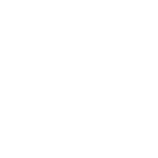 Untitled design (41)